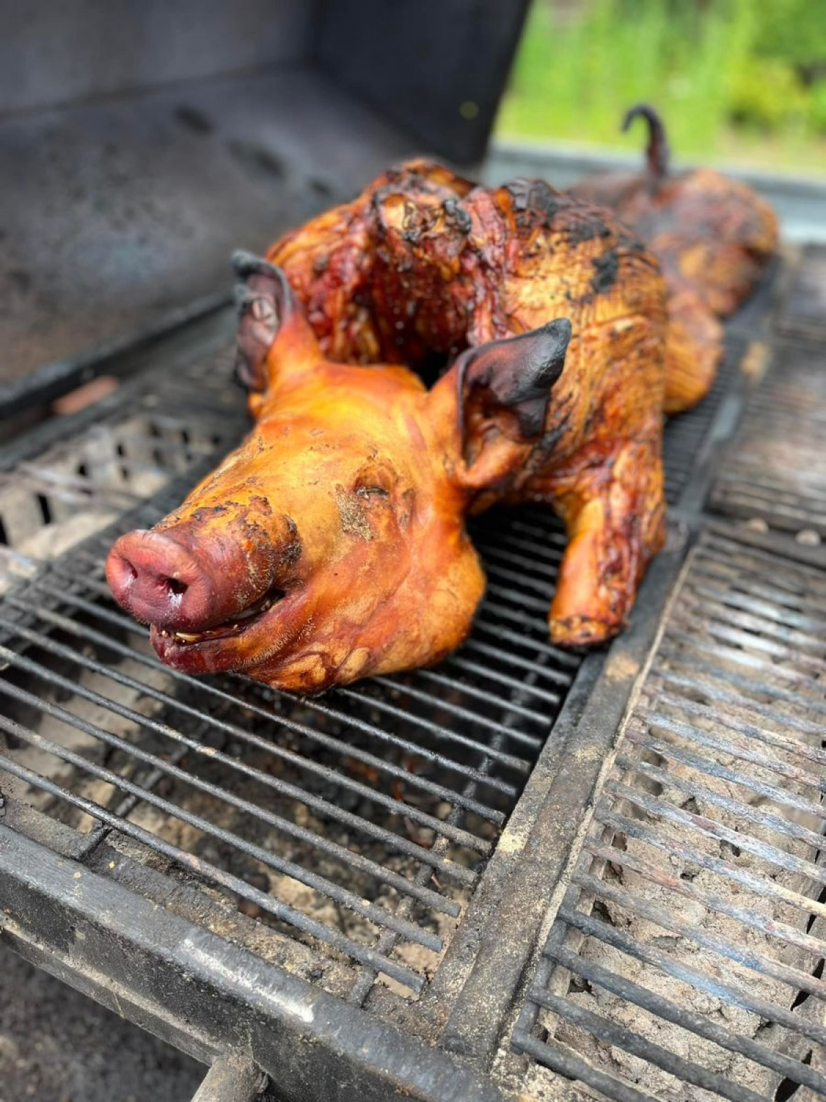 475808248_1213805350339166_8843012582844581653_n